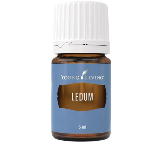 Oli Essenziali YOUNG LIVING - Ledum - 5ml - 33322 - Spiritual Cleansing & Harmonizing Aroma