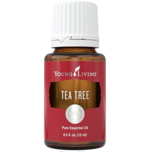 Oli Essenziali YOUNG LIVING - Albero del tè (Tea Tree) - 15ml - 32052