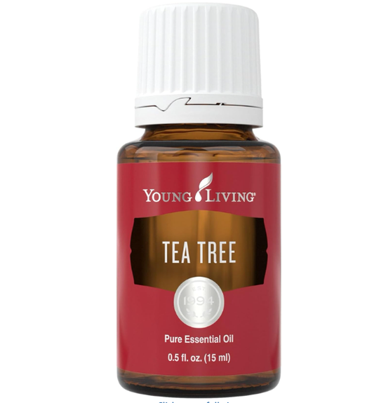 Oli Essenziali YOUNG LIVING - Albero del tè (Tea Tree) - 15ml - 32052