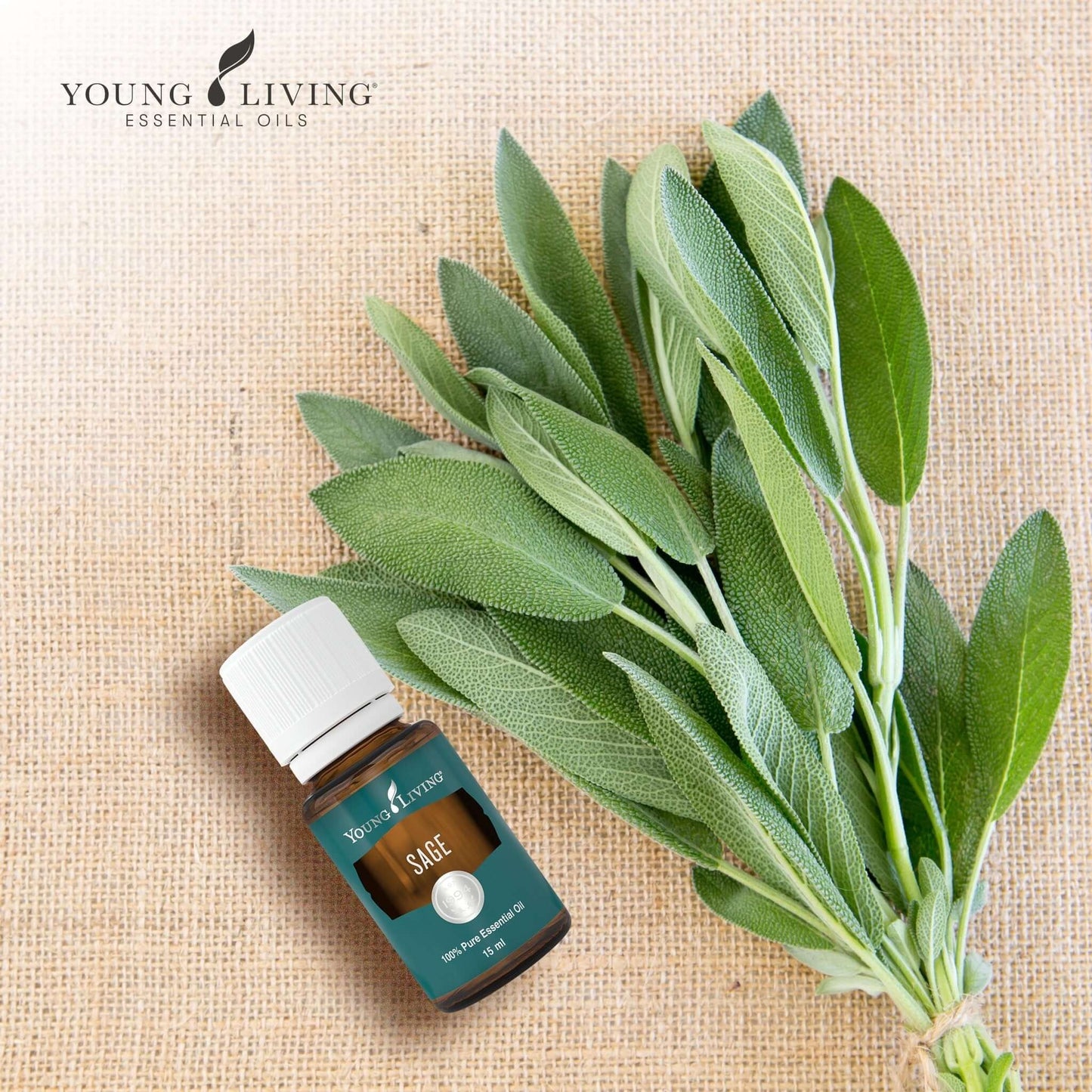 Oli Essenziali YOUNG LIVING - Salvia (Sage) - 15ml - 36543