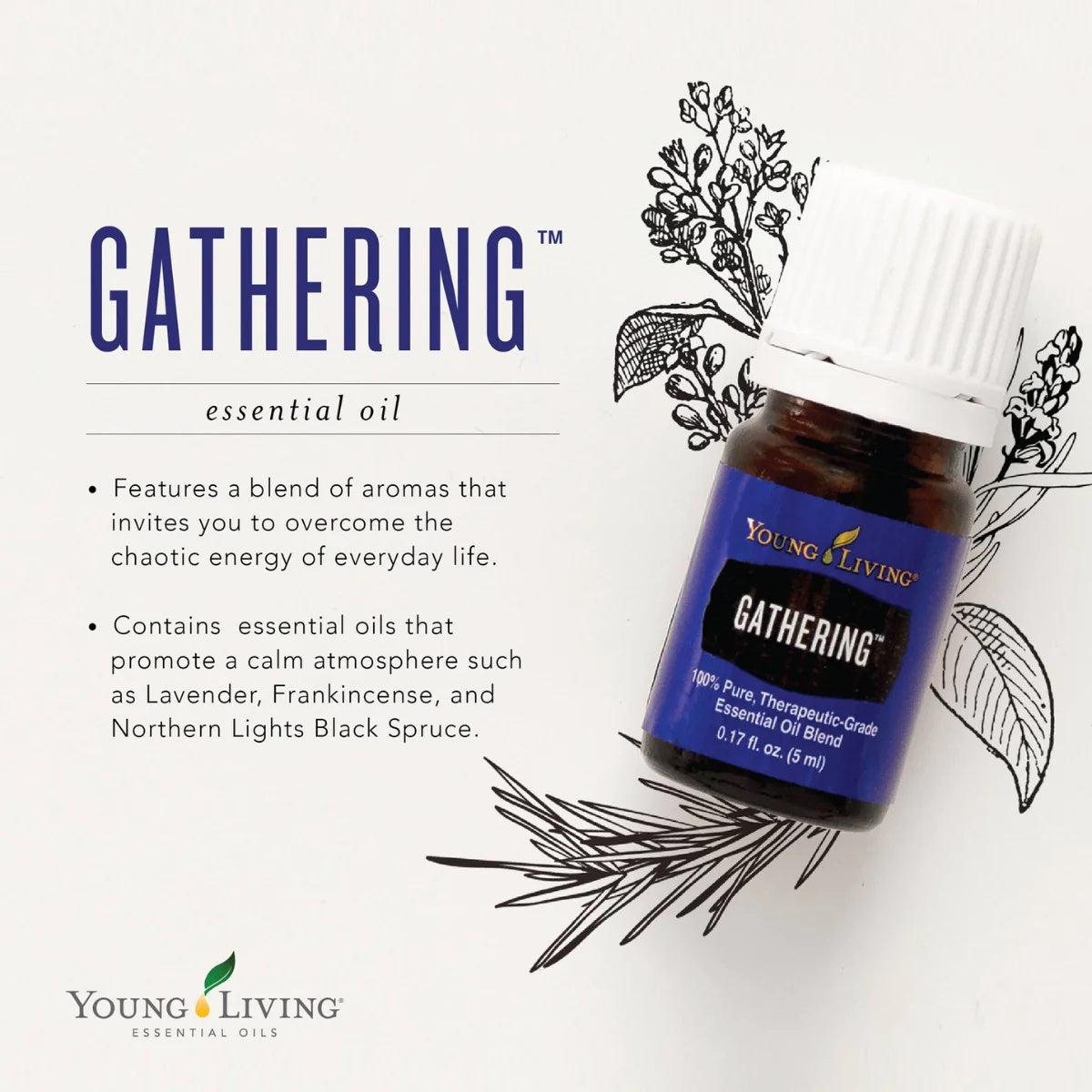 Oli Essenziali YOUNG LIVING - Assembramento (Gathering) - 5ml - 36745 - motional and Mental Well-Being