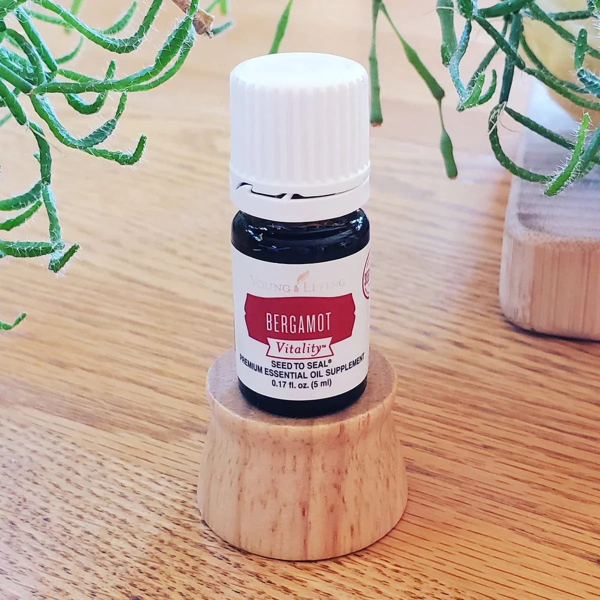 Young Living Bergamot Vitality Essential Oil | 5 ml | Bright Citrus Flavor for Cooking, Baking & Beverages