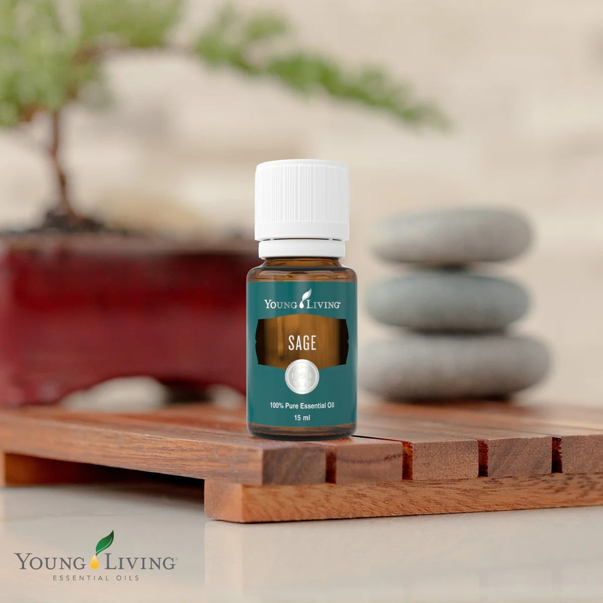Oli Essenziali YOUNG LIVING - Salvia (Sage) - 15ml - 36543