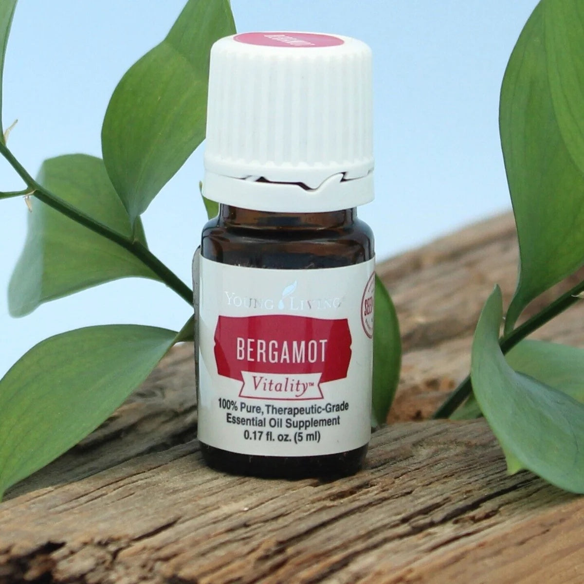 Young Living Bergamot Vitality Essential Oil | 5 ml | Bright Citrus Flavor for Cooking, Baking & Beverages